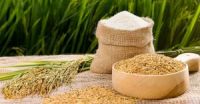 WHITE COCONUT MEAL HIGH PROTEIN ANIMAL FEED FOR EXPORT