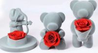 Festival gift prserved valentine's day gift flowers rose Teddy bear ro