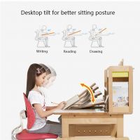 2M2KIDS Workshop Adjustable Kids Study Desk