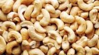 Cashew Nut