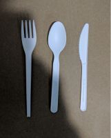 PLA biodegradable utensil set