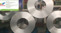 Galvanized Steel sheet in Coil