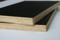 Film Faced Plywood From Vietnam