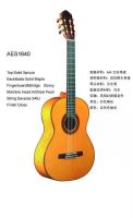 Acoustic Guitar AES 1640