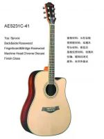 Acoustic Guitar AES 231C-41