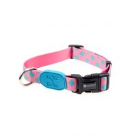 HiDREAM PROFUSION DOG COLLAR fashion dog collar for walking