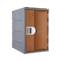 HDPE Plastic Locker T-H385M