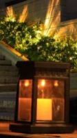 Yunrui Solar Lawn Lamp