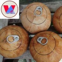 Fresh Coconut With Ring Pull/ Easy To Open