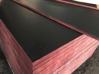 Commercial Plywood and Birch Plywood with Poplar Core Veneer for Furniture and Packaging uses