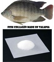 Fish Collagen