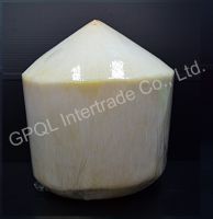 Fresh Young Coconut High Quality From