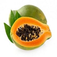 Fresh Papaya Supplier