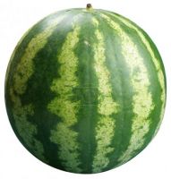 100% Fresh Ripe water melon ( Seedless )