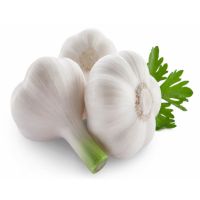 Ukrainian Fresh Organic White Garlic