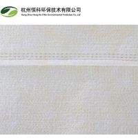 Fiber Glass Filter Bag