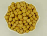 Wholesale High Quality Non-GMO Soybean &amp; GMO Soybean - Grade A