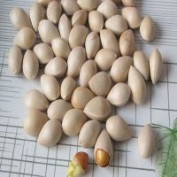 Wholesale Ginkgo Nuts ,Peeled Ginkgo Nuts,Raw Ginkgo Nuts 