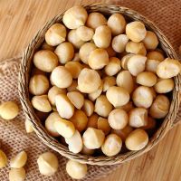 Wholesale  Premium Grade Raw Organic Macadamia Nuts. 