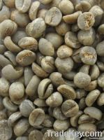 raw coffee beans