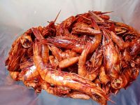 Happy Fresh Dried Prawns