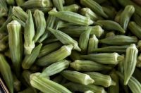 Happy Fresh Ã�Â¢Ã¯Â¿Â½Ã¯Â¿Â½ Premium Garden Okra