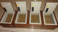 Gold Bars, Gold Nuggets