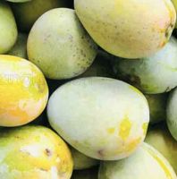 Vegetables And Fruits