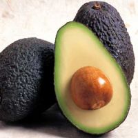 FRESH & DRIED AVOCADO SEEDS FOR SALE