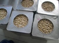 CASHEW NUTS