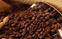 Robusta Coffee Beans