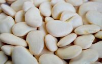 Lima Beans