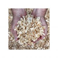 Premium hard wheat grains for sale in bulk at competitive prices