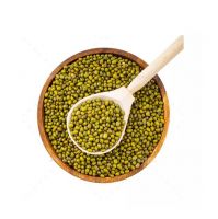 Wholesale Green Mung Beans Factory 
