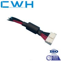 OEM/ODM Custom Wire Loom Automotive Wire Harness