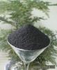 Humic &amp; Folvic Acid Powder