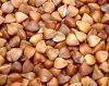 Best Roasted Buckwheat Kernel