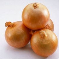 Fresh yellow onion brown onion non peeled onion price 1 kg