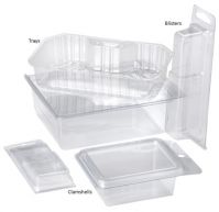 China Factory Cheap Sale Disposable Fruit Plastic Box