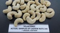 Cashew nut Vietnam