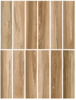 Porcelain tile - AMAZONIA - Glazed (12 Faces)