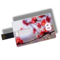 Promotional gift card usb pendrive free printing oem logos 2gb 4gb 8gb 16gb