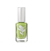 504 Stone crop vegan nail polish [limited edition]