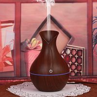 Vase Shaped Aroma Humidifier / Essential Oil