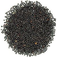 Mustard Seeds / Organic