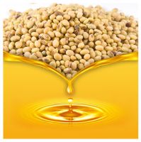 Hot Selling Price Soya oil for cooking/Refined Soyabean Oil in Bulk 