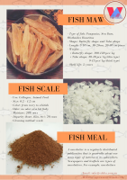 Fish Scale For Collagen