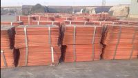 Electrolyte Copper Cathodes
