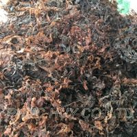 dried sargassum / brown seaweed high quality