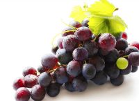 Grape Seed Extract 95%